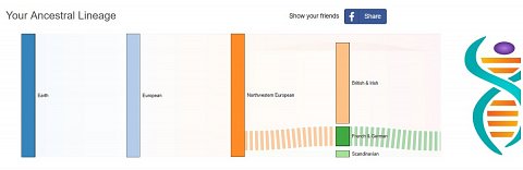 My ancestry diagram.