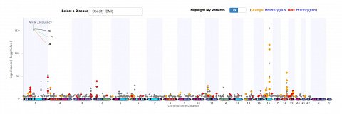 A Manhattan plot diagram showing my genetic risks for obesity.