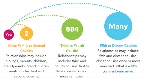 My DNA Family relationship diagram.