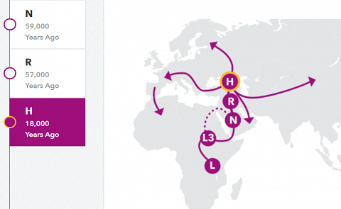 The maternal haplogroup map.