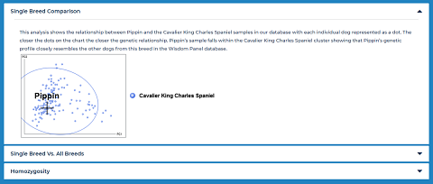 My dog’s breed comparison results.