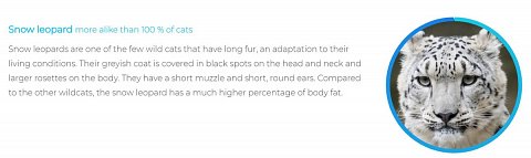 My cat’s first wildcat result: Snow Leopard.