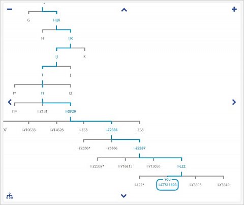 Part of my Fatherline Phylogenetic Tree showing my paternal haplogroup and subclade.