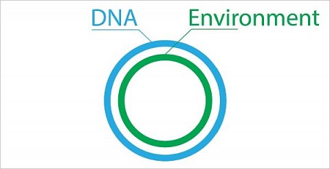 An explanation of the circular trait diagrams.