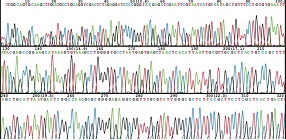 DNA Graph and Sequence