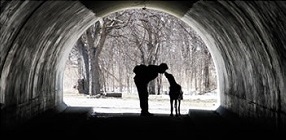 Deceased Dog DNA Breed Test