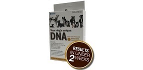 DNA My Dog