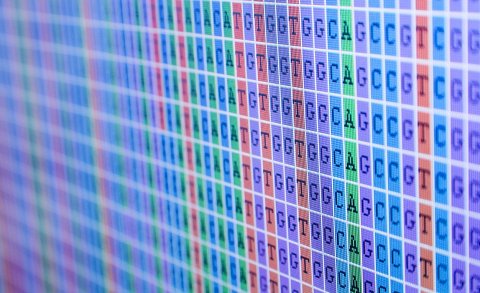 Visit Gene by Gene Gene by Gene