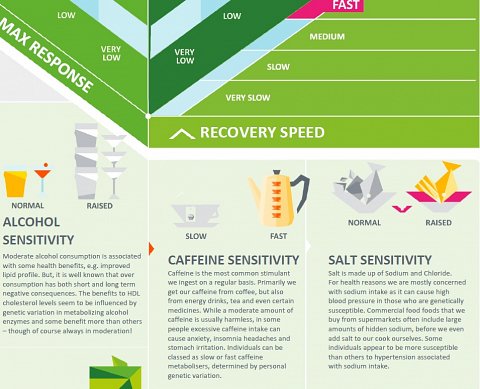 A section of my Infographic Report.