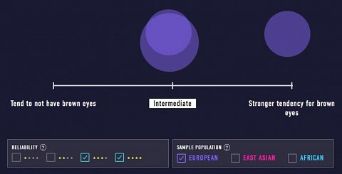 A diagram visualizing the eye color research studies.