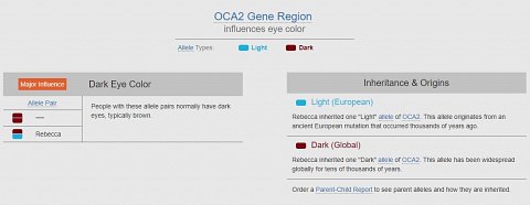 My eye color alleles.