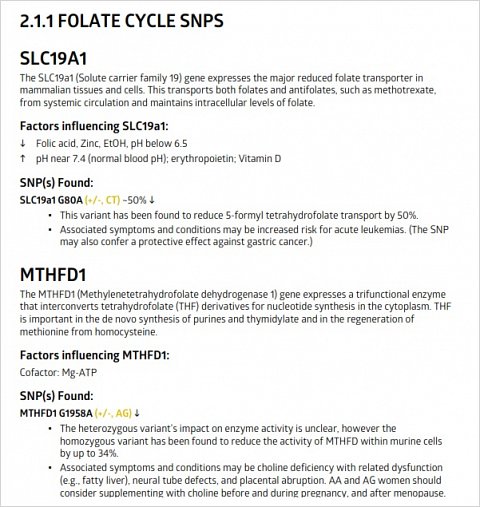 The explanation of my folate cycle results.
