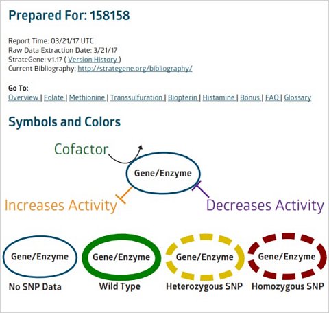 The front page of my report.