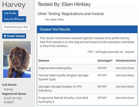 Harvey’s Paw Print Pedigree Profile.