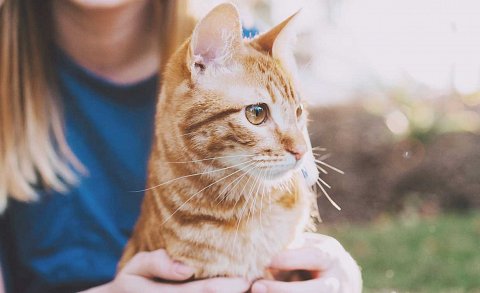 Visit Basepaws Basepaws