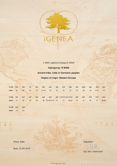 My Y-DNA certificate.