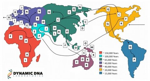 Map showing the different routes of human migration.