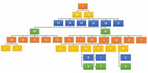 Diagram showing the various maternal haplogroup lineages.