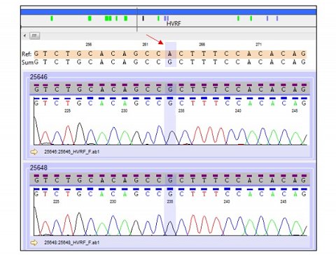 Some of my maternal test raw data.