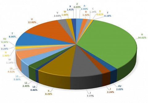 Pie chart showing the relative frequencies of maternal haplogroups.
