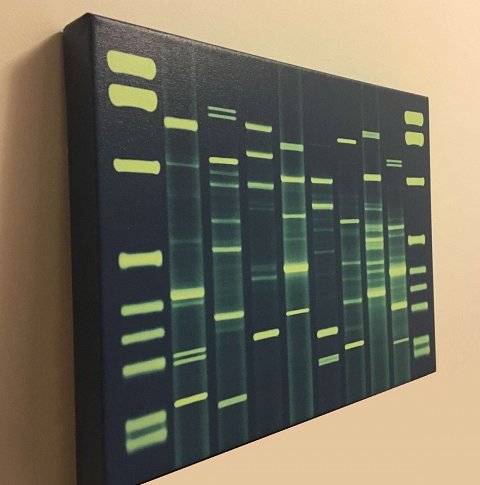 My DNA Portrait.