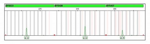 The graph showing my raw data.