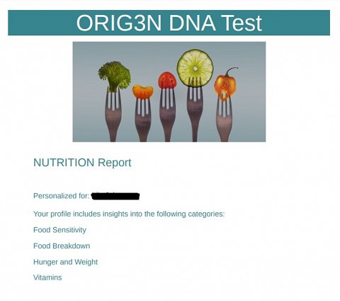 The front cover of the PDF version of my report.