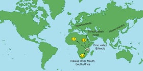 mtDNA test