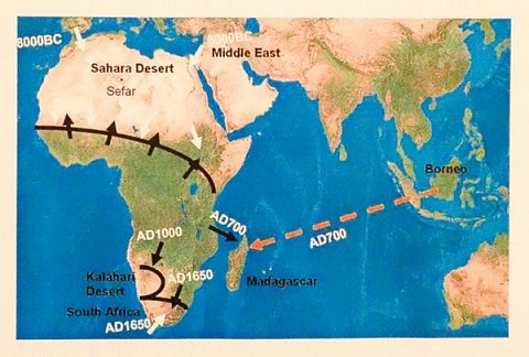 Prehistoric Zones of African Genetic Influence.