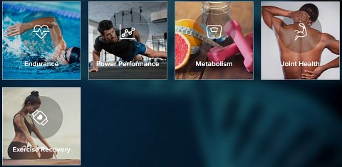 The dashboard, showing the different categories of results.