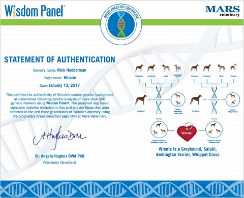 Winnie’s Breed Certificate.