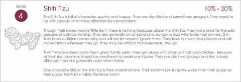 Peggy’s Shih Tzu result and accompanying breed description.