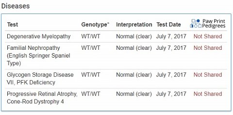 Harvey’s Results in the Test Result section.