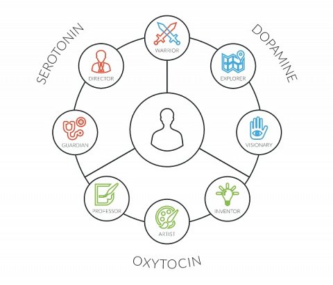 The eight different personality types.