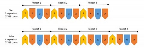 Diagram that accompanied my Understanding your Results explanation.