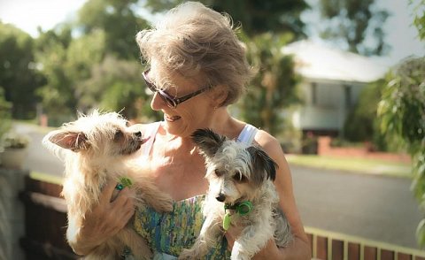 Visit Wisdom Panel Wisdom Panel