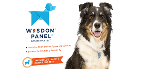 Wisdom Panel 3.0 Genetic Breed Identification